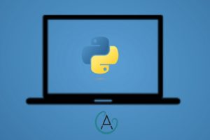 Layman's guide to Python Course