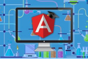 Angular 8 Advanced MasterClass & FREE E-Book Course Site Covers Angular 8 - Build Your Own Library, Learn Advanced Angular 8 Features