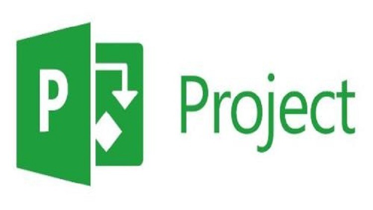 ms project professional