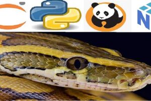 Python Bootcamp for Data Science 2021 Numpy Pandas & Seaborn Learn to use NumPy, Pandas, Seaborn , Matplotlib for Data Manipulation and Exploration with Python