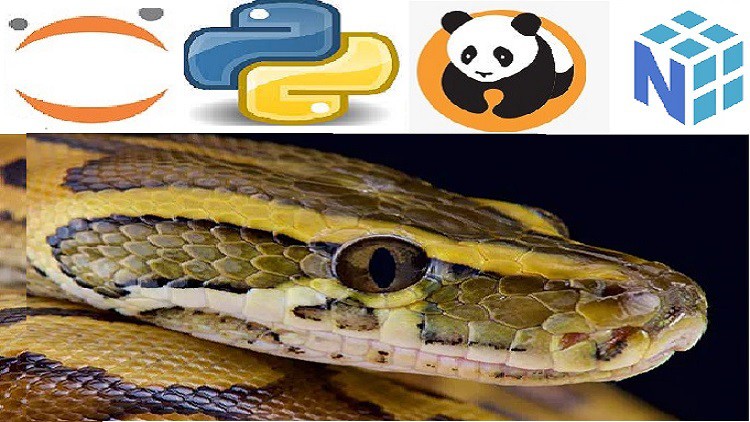 Python Bootcamp for Data Science 2021 Numpy Pandas & Seaborn Learn to use NumPy, Pandas, Seaborn , Matplotlib for Data Manipulation and Exploration with Python