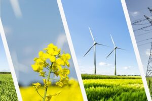 Renewable Energy And Co-generation