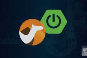 Apache Camel with Springboot Masterclass