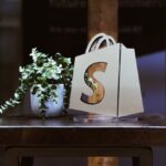 Learn Print-on-Demand Using Shopify for Your Online Business