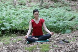 Foundation Skills for a Successful Meditation Practice