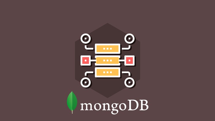 MongoDB Essentials - Understand the Basics of MongoDB