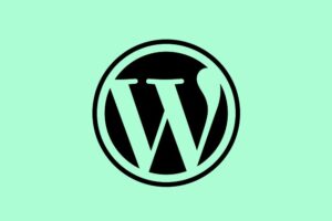 Create an Ecommerce Website with WordPress + Flatsome Part2