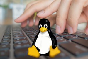 Linux - Shell Bash Commands From Scratch - Free Udemy Courses