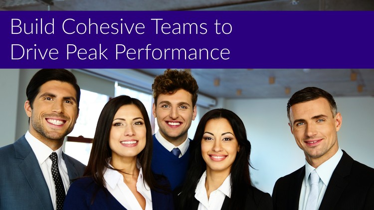 Build Cohesive Teams to Drive Peak Performance - Free Udemy Courses