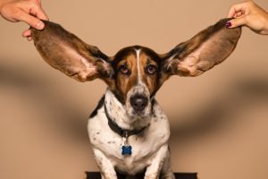 Ear Training Starts Here - Identify The Notes - Free Udemy Courses
