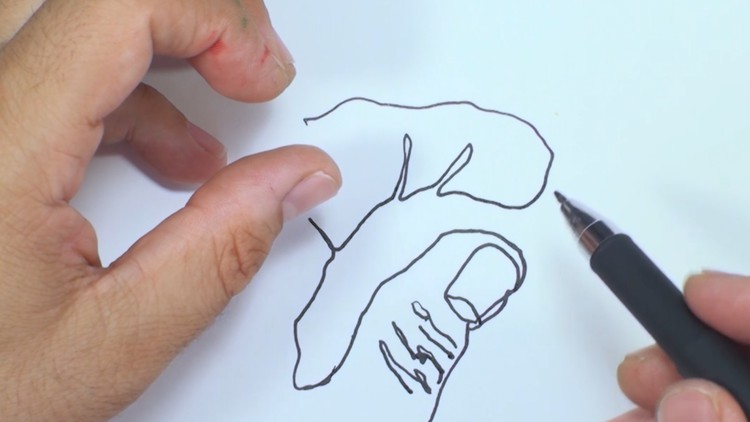 How to Draw & Sketching of Your Hands - Free Udemy Courses