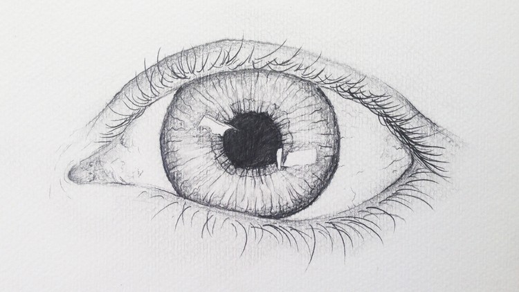How to draw a realistic eye - Free Udemy Courses