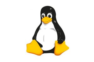 Intro to Linux - Free Udemy Courses