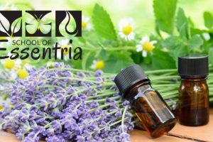 Introduction to Essential Oils - Free Udemy Courses