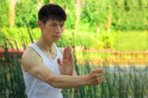 Learn Wing Chun Sil Lim Tao At Home FREE! With David Wong - Free Udemy Courses