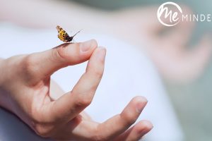 Mindfulness Of Everything - Free Udemy Courses