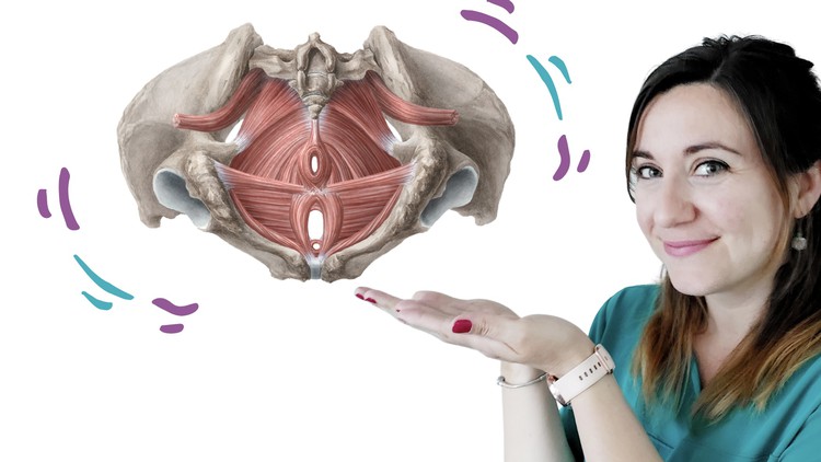 Take care of your Pelvic Floor and Enjoy - Free Udemy Courses