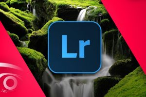 Adobe Lightroom Classic CC: Print, Slideshow & Web Module