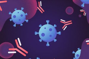 Biotechnology: Antibodies & their role in Therapeutics