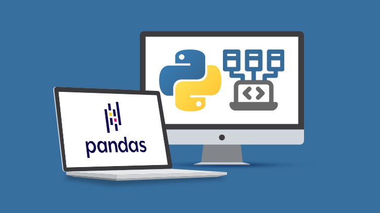 The Python Programming Bundle: Intro to Python, Pandas, and OOP