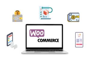 Advanced Woo-commerce customization Training for Freelancers