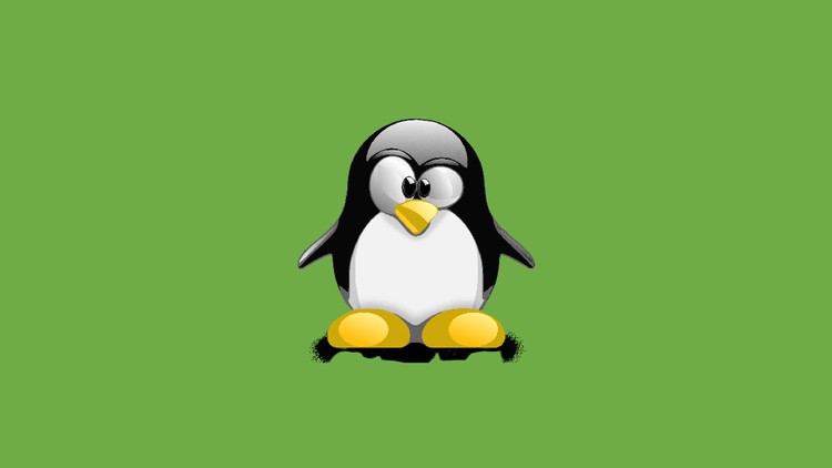 Linux for Devops Engineers and Developers - 2023 FreeCourseSite